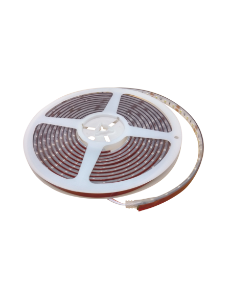 Tira LED SMD5050 IP68, 12V 12W/m, 60 LEDs/m, 5m