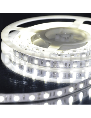 Tira LED SMD5050 IP68, 12V 12W/m, 60 LEDs/m, 5m