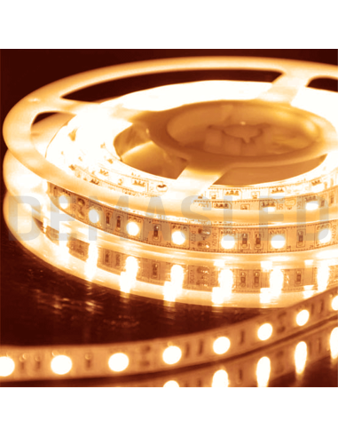 Tira LED SMD5050 IP68, 12V 12W/m, 60 LEDs/m, 5m