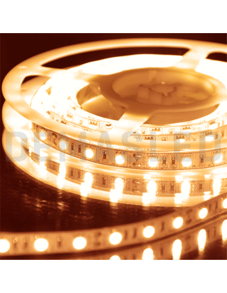Tira LED SMD5050 IP68, 12V 12W/m, 60 LEDs/m, 5m