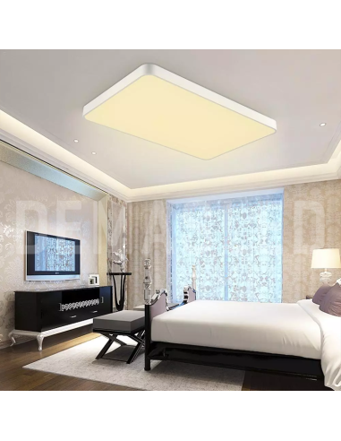 Tira LED SMD2835, 24V 24W/M Blanco Neutro 2400 Lm/M 240LEDs/M, 5m