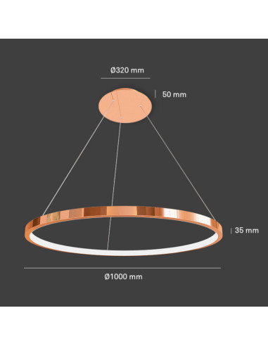 Colgante Ring 1369A 100cm Oro Rosa 36W Dimable