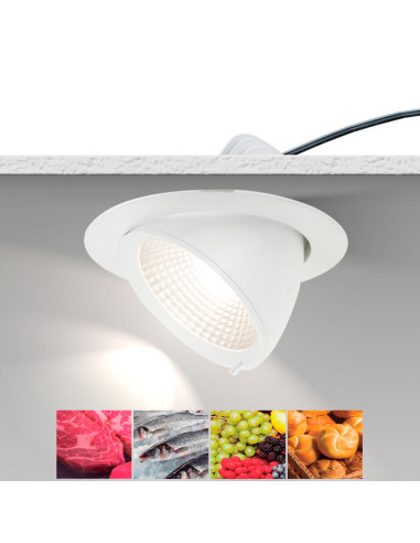 Empotrable modelo DL80 - COB LED 36,5W 5260LM ESPECIAL PESCADO en color Blanco
