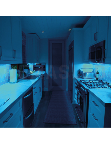 Tira LED SMD5050 12V 12W/m, 60 LEDs/m, 5m