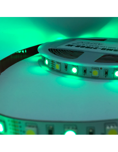 Tira LED SMD5050, 12V 12W/M, 60 LEDs/M, 5m