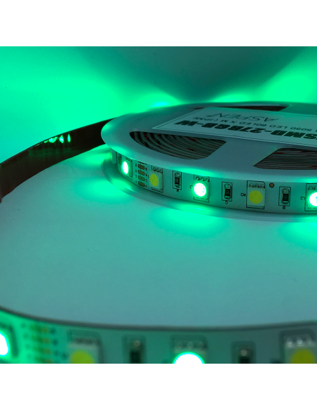 Tira LED SMD5050, 12V 12W/M, 60 LEDs/M, 5m