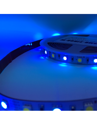 Tira LED SMD5050, 12V 12W/M, 60 LEDs/M, 5m