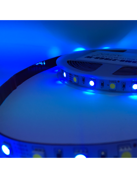 Tira LED SMD5050, 12V 12W/M, 60 LEDs/M, 5m