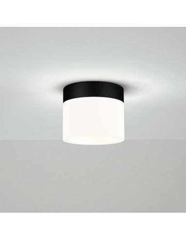Plafón CON 6W negro difusor blanco satinado