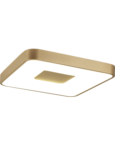 Plafón de techo COIN