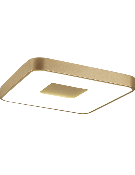 Plafón de techo COIN