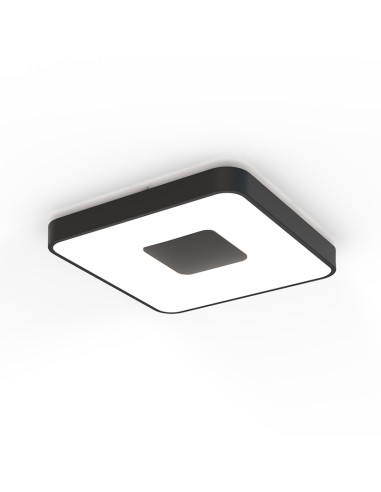 Plafón de techo COIN