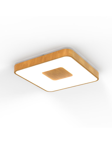 Plafón de techo COIN