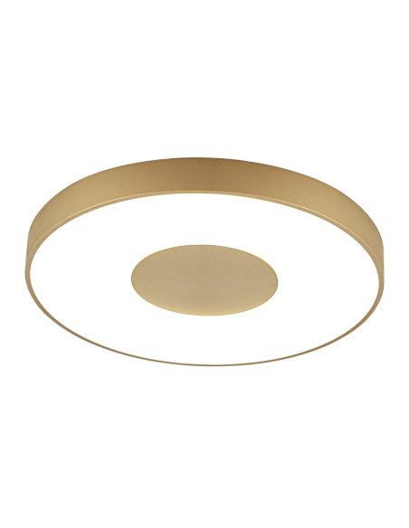 Plafón de techo COIN