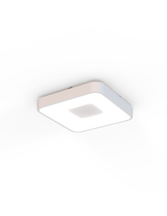 Plafón de techo COIN