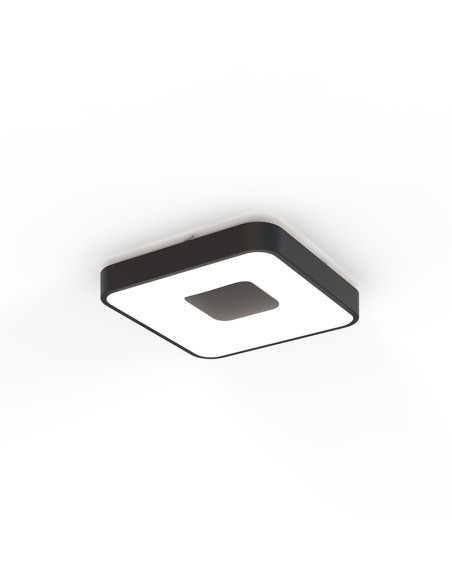 Plafón de techo COIN