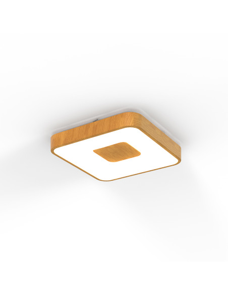 Plafón de techo COIN