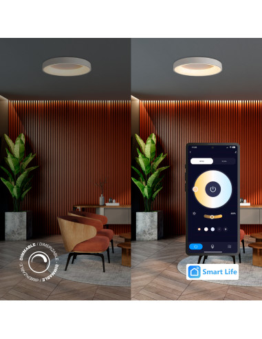 Panel LED Smart Redondo 48x48x9cm 48W 210mA CCT, de Aplicar