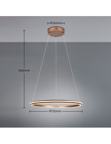 Colgante aro oro 48W CCT amador